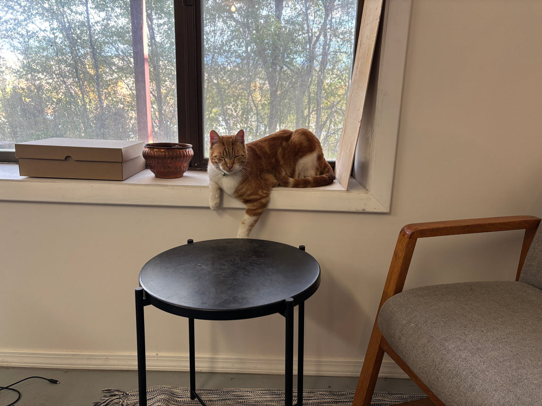 From our Corner | October Musings